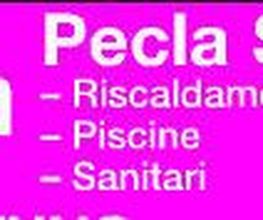 Pecla SA Bild 1
