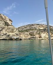 Blue rent immagine 7