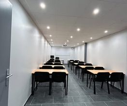 HECG image 2