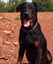 Pension De La Rosée Du Soleil image 11