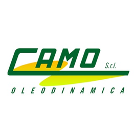 Camo logo