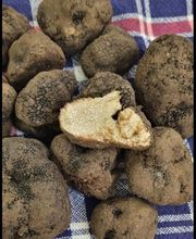 Multigusto - Referenzbild