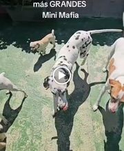 La Huella Azul S.L. imagen 5