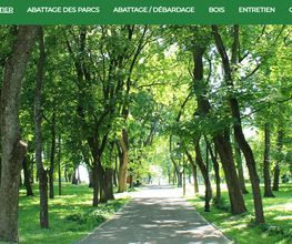Benasse Stephane image 1