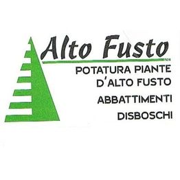 Alto Fusto logo
