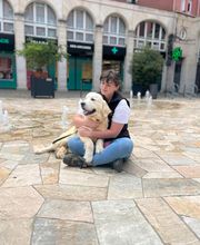 Dog & Picture image 13