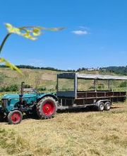 Weinhotel Lenz Bild 1