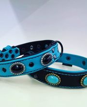 dogsland GmbH Bild 2