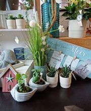 P S Blumen Inh. Petra Schleßelmann Bild 3