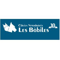 logo-lesbobiles.png