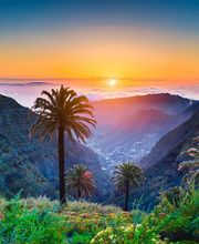 TAXI ALOJERA imagen 4