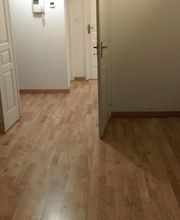 Color 17 Peinture image 2