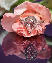 Britta Dietsche Bild 1