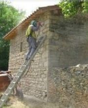 Alonso Ludovic image 1