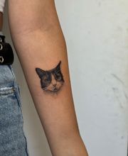 Nil Fineline imagen 13