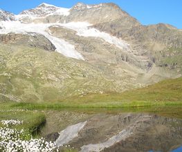 Cambrena Bild 10