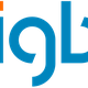 igb AG