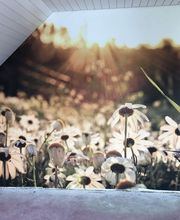 R. Häusermann Malergeschäft Bild 9