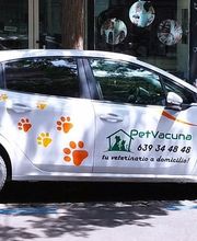 Petvacuna,tu Veterinario a Domicilio imagen 1