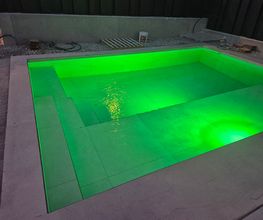 20250215_073428.jpg