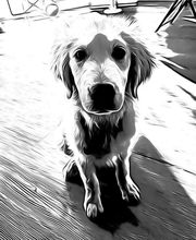 AMN Conseil et Formation image 1