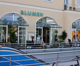 Blumen Maaß Bild 4