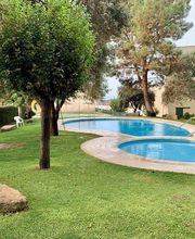 Jardin_Piscina_Jardineria_del_Oeste_Merida_Badajoz.jpeg