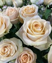 A La Fleur De Clémentine image 2