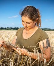 ZG Raiffeisen Agrar-Niederlassung und Getreidesilo Bild 3