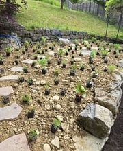 MK Gartenbau GmbH Bild 12