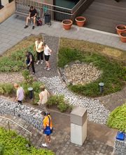 medicos.AufSchalke Bild 2