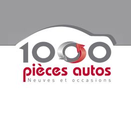 1000 pieces autos