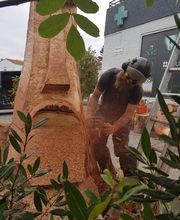 L'Arbre Remarquable image 13