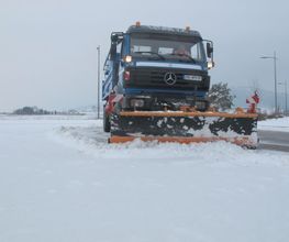 Vogel TP image 3