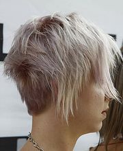 Dieter Knoll Bild 10