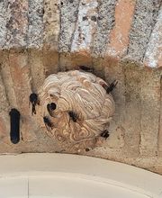 CLG Nuisibles image 4