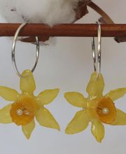 Y&P Fantaisie image 12