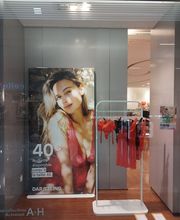 Darjeeling Annemasse Etrembieres image 3