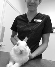 University Animal Clinic image 2