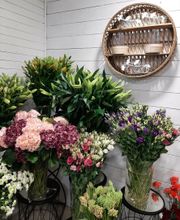 Jardinerie du Bois-Paris image 10