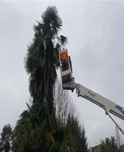 Entreprise W.D image 2