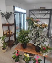 Las Flores de Carlos imagen 2