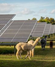 DVP Solar Germany GmbH Bild 3