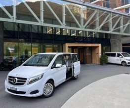 Taxi Metaxas Luzern Bild 2