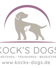 KOCK'S DOGS - Hundetraining Bild 5