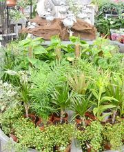 Raiffeisen-Markt Vechelde Bild 1