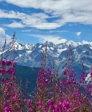 Verbier Language School Bild 2