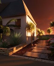 Albizia Paysage Lucas image 2