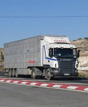 ganados-casals-sa-camion-05.jpg