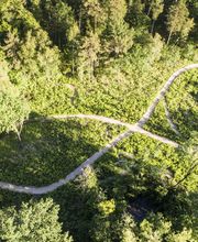 FriedWald Planitzwald Bild 11